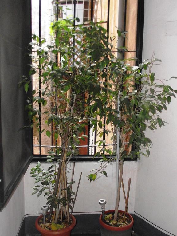 Argentina Suites Inn Roma Dış mekan fotoğraf
